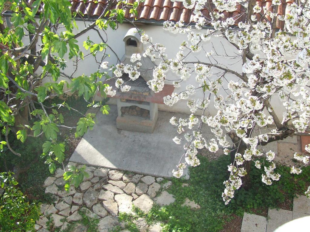Villa Dalmatia Zadar Exteriér fotografie